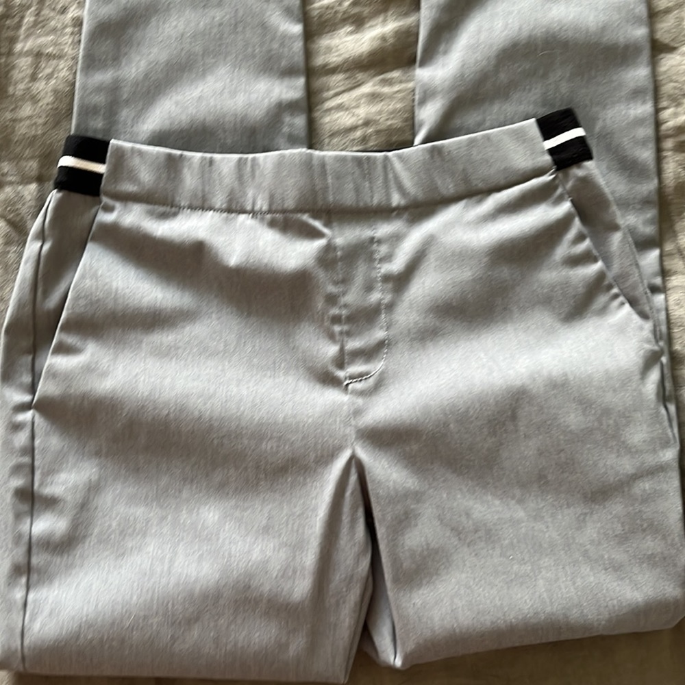 Ankle length professional pants